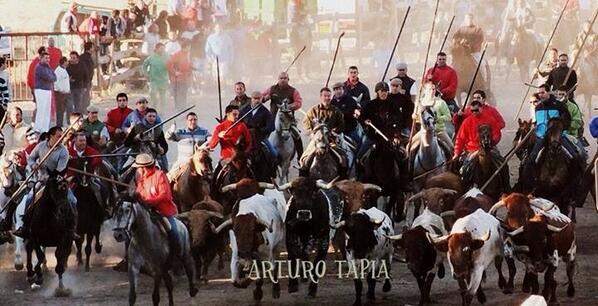 Encierro a caballo  de Tordesillas esta mañana .