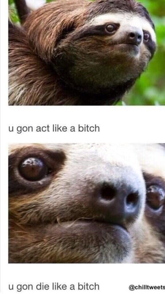 “<a href="/TheBitterRower/">Calluses n' Coxcalls</a>: When novices say the workout is hard and give up ”