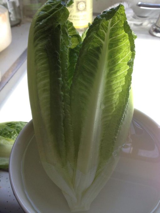 Back to life http://t.co/pvPksUcOwd<a href="/tag/iphone"class="tags"><span>#iphone</span></a>