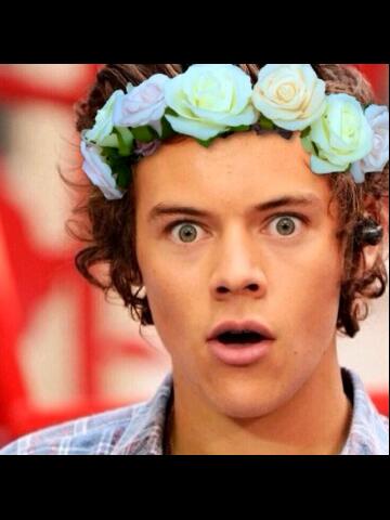TeenUniqueStyle's tweet photo. Floral head bands are just adorable! As harry styles demonstrates in this picture... ;) x (photoshopped) x http://t.co/Y6sl6ZchwQ