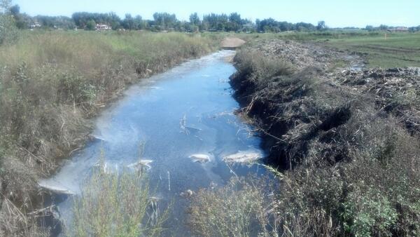 bbogott's tweet photo. No evac for Gaynor Lake as Boulder parks officials say drainage problem cleared.  Dam ok.  @DenverChannel @7NewsNOW http://t.co/qzUkZuFYYz
