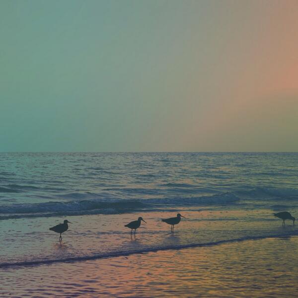 ckamrada's tweet photo. "Leader" | my shot, my edit // http://t.co/ZdsMA8Eq0y