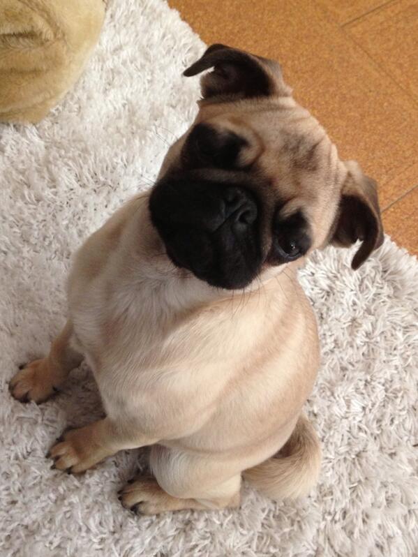 Primer aniversario de mi pequeña. Felicidades!