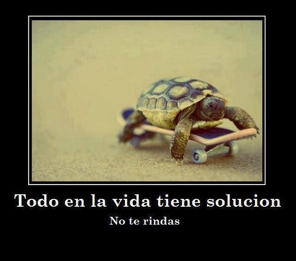 carmen_ibsa's tweet photo. “@Belengalda: http://t.co/gZRGQMn3GG”