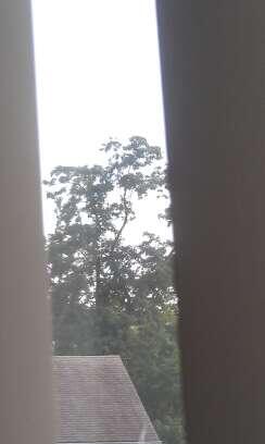 Rob Begley tweet media