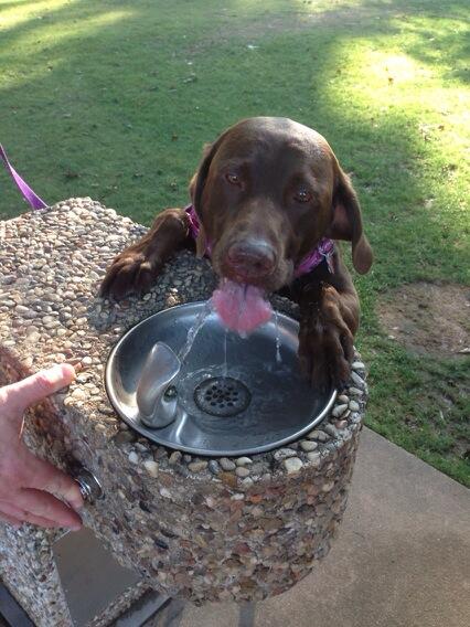 sbl5062's tweet image. Missing this guy &amp;lt;3