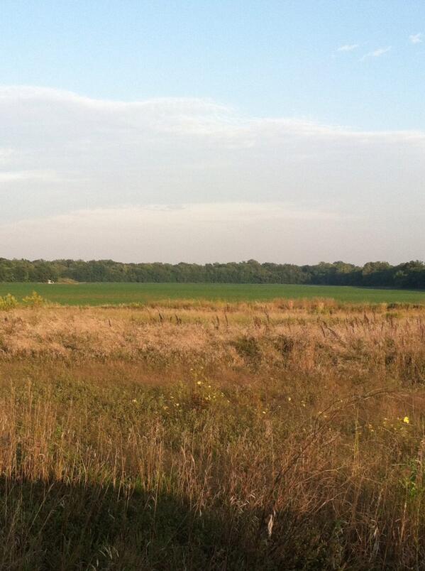 kanenorris12's tweet image. View for the evenin #scoutin