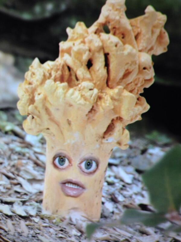 @faixedas Has vist mai un peu de rata indignat? Dissabte te'l trobaràs!