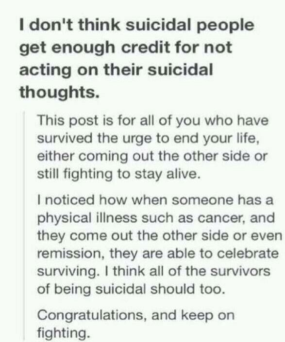Phandom_Support tweet picture