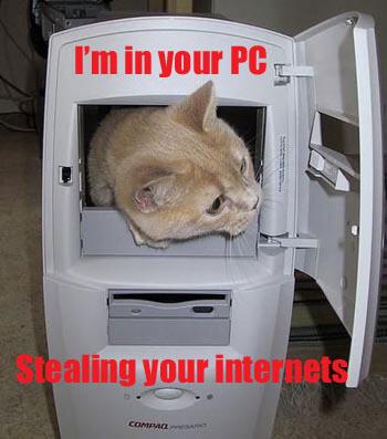 TheSteflen's tweet photo. @SushiActorCat  if you did this you would be your name! ;) http://t.co/CMYQZpzPhY