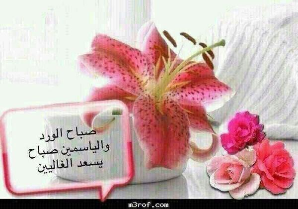 bita338's tweet photo. ---
--- 
 تم الإرسال بواسطة واتساب http://t.co/vV8l9G7xQS