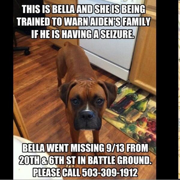 jon_on_sea's tweet image. Epilepsy family please please RT this. Aiden is another little boy with the terrible Ohtahara syndrome #findbella