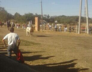 Cobaleda en el embudo...