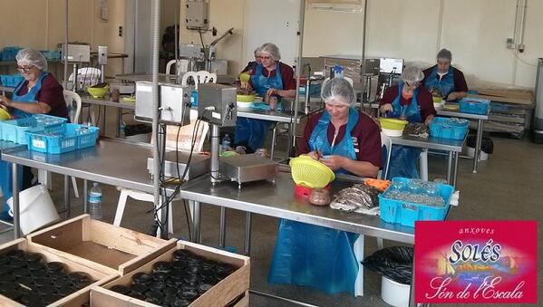 AnxovesS's tweet photo. Més de 150 persones han visitat la nostra fàbrica aquest estiu. Més informació:  http://t.co/g73M9qeap9 http://t.co/HqJdP63MFS