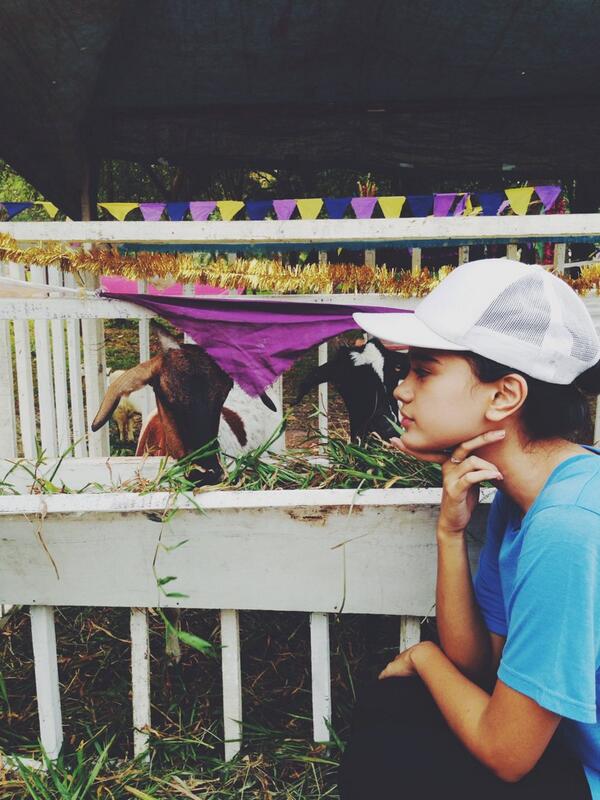 kak idung mu "<a href="/audimarissa_/">Audi Marissa</a>: Shooting sm kambing itu rasanya.................. Cucookk :|