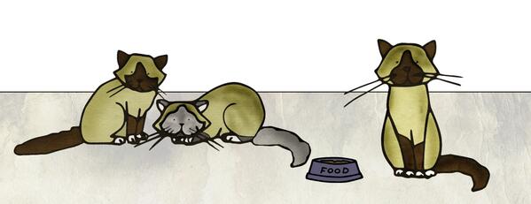 LBillustrator's tweet image. Hello, long time no tweet. I thought you’d like to see the latest temporary additions to the Boyd clan