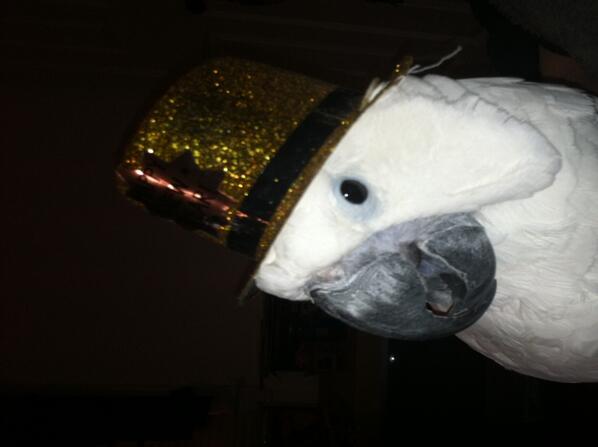 julio muniz (@djplayero) on Twitter photo 