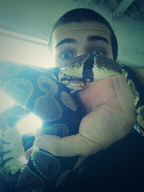IvanMarreroR's tweet photo. Nico dice hola :D! http://t.co/o79ckTgmiS