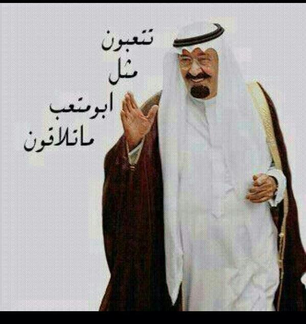 lov_rex tweet picture