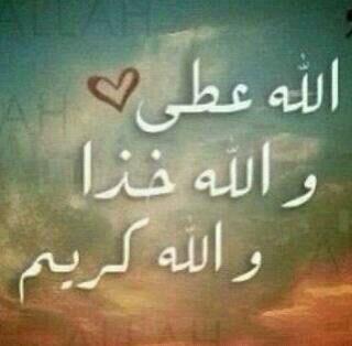 lov_rex tweet picture