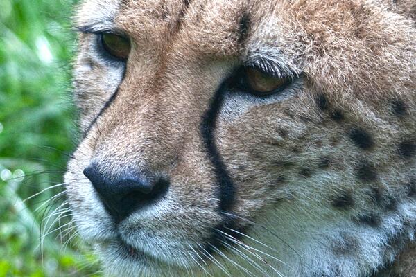 PaigntonZoo tweet picture