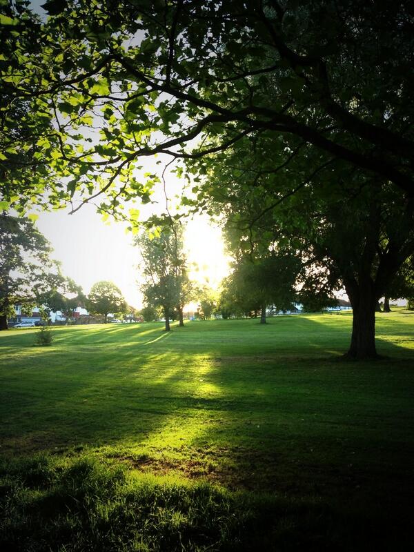 capitalrunner's tweet photo. @flo_dem @streathamalley Great pic! Right outside my house... This was the common at 6pm... #streatham #beautiful http://t.co/WUnNZuqC2S