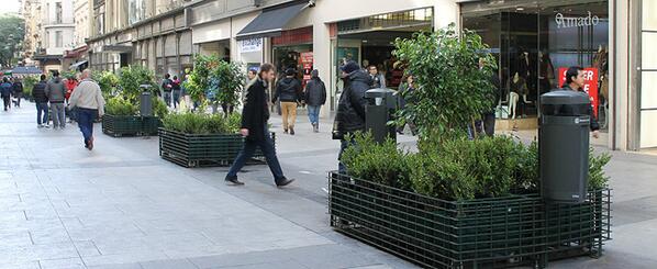 diegosantilli's tweet photo. Plantamos árboles, colocamos canteros e instalamos cestos de basura diferenciados #MicrocentroVerde http://t.co/0Iab0RHTfl