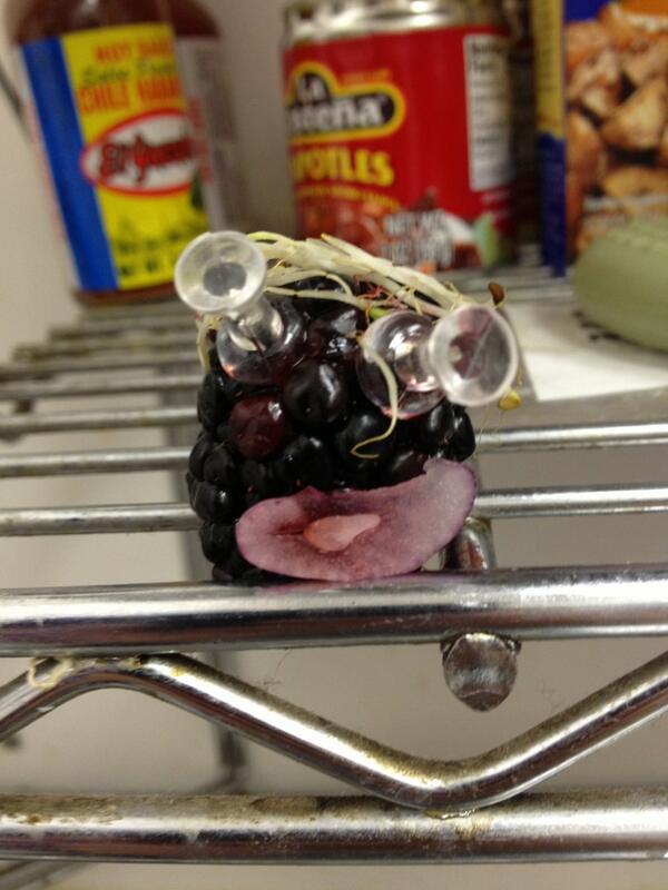 @Sd_gray was in the house!!!! #bagellove