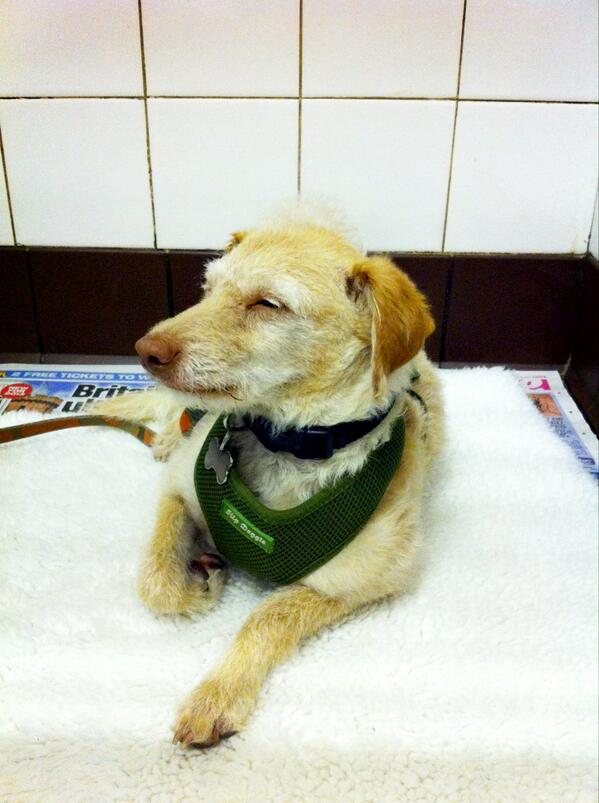 One of our favourite patients <a href="/MrFalkor/">Falkor Morris</a>  enjoying his pre-med before a dental today, to restore his Hollywood smile!