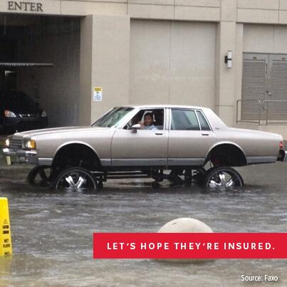 FarmersPhillyAP's tweet photo. Let's Hope They're Insured... http://t.co/b4fJiRhz0y
