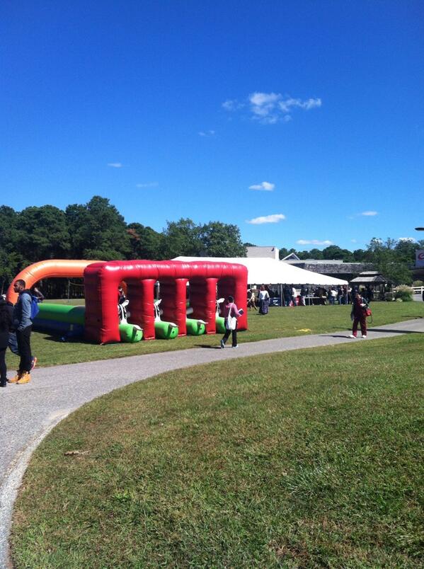 mollydeez's tweet image. #pledgeweek #bidday