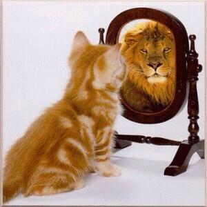 trainingcarers's tweet image. if you&apos;ve made a difference to someone today then look in the mirror &amp;amp; ROAR !