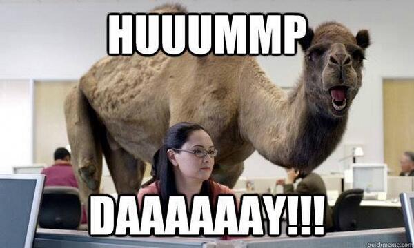BleuModels's tweet image. HUMP DAY!!!!!