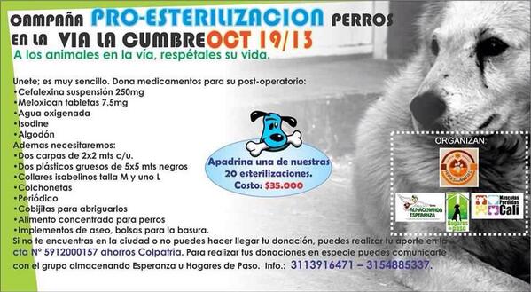 Informante_Cali's tweet photo. Excelente iniciativa ayuda estos animalitos con tu donación o x lo menos con RT #cali @ELGATOARCE @PVerde_Cali http://t.co/TWeBLy7b6I