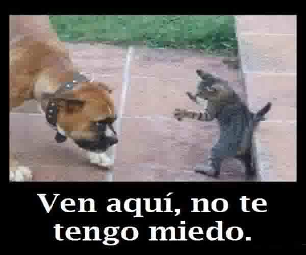 ferchoo_jhon's tweet photo. http://t.co/wELxUaRwHV