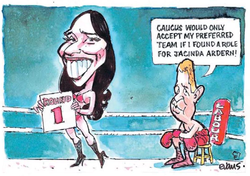 Cartoon: Keeper of the ponytail - NZ Herald