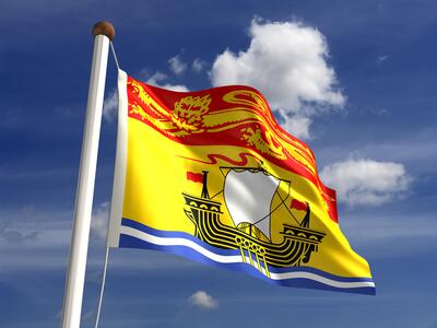 Practical Nursing  tweet media