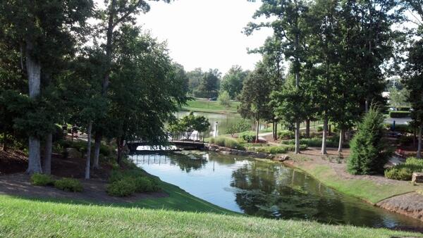 denisperazaforsland tweet media