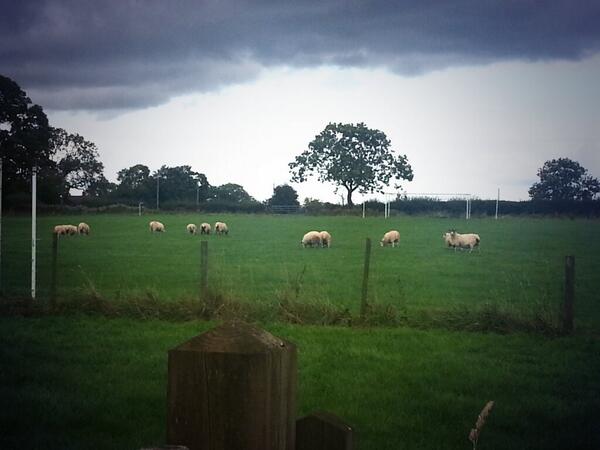 TCatering's tweet image. The football team of 2013 bet they win something