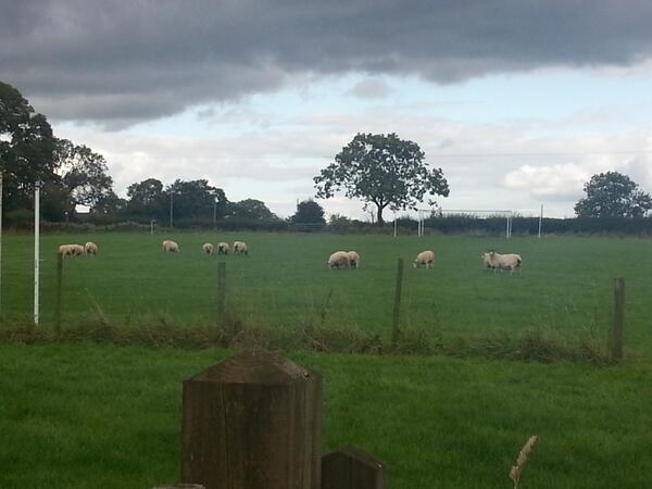 TCatering's tweet image. I work in all the weird places but they win the league