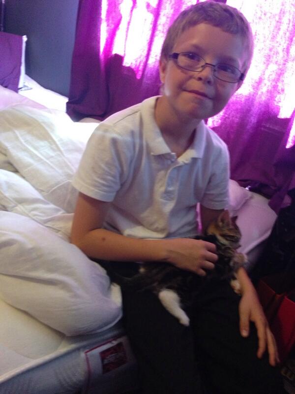 Amber Stone (amberstonex) Twitter