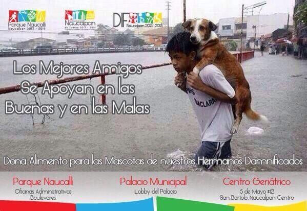 CanHijos's tweet photo. En Naucalpan hay 3 centros de acopio para mascotas damnificadas, datos en la imagen http://t.co/3AOIGBciS0