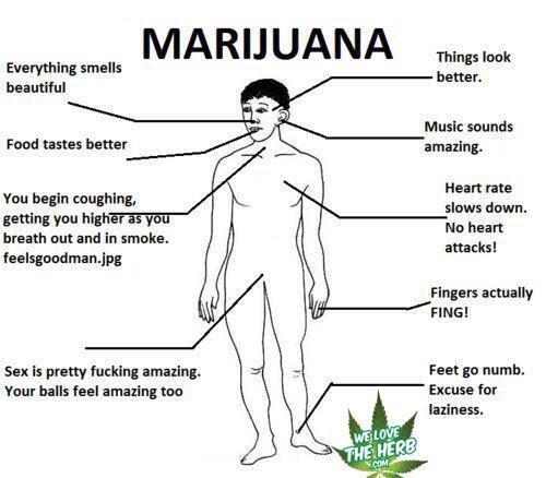 StonerRandom's tweet image. 