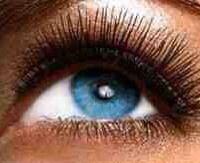 Tanqueentan's tweet image. #queenoflashes #flashlash #lashlength get the lash you want now with the latest innovations from #salonqueenuk