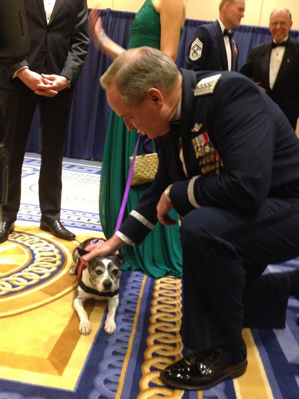 bella_doggo's tweet photo. Chief of the Air Force agrees that we need to integrate service dogs into treatment programs #asc13 http://t.co/liLERdtaXQ