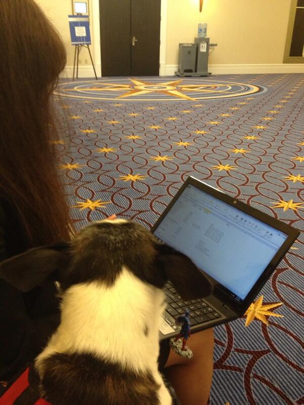 bella_doggo's tweet photo. Helping the AAS&amp;SW NCOP work on her budget #ASC13 #gotMyNoseInEveronesBusiness http://t.co/2A3n9typq4