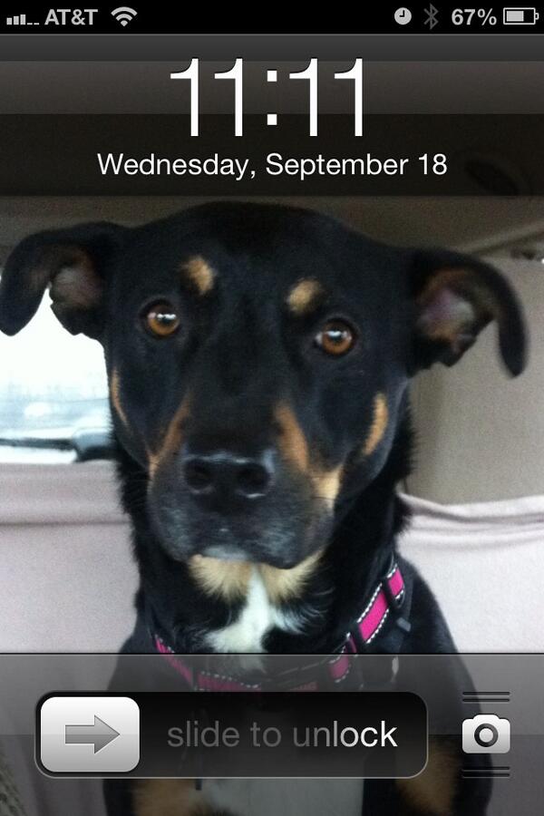 Joey6989's tweet photo. Oops I did it again #11:11 @AlyssaKing11 http://t.co/GBhscSWZ40