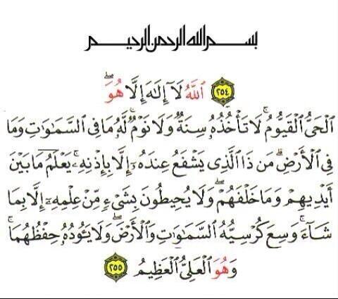 ابو الفوارس tweet media