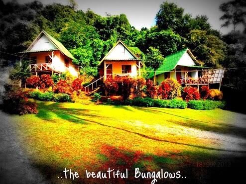 need Holiday? tphut.com