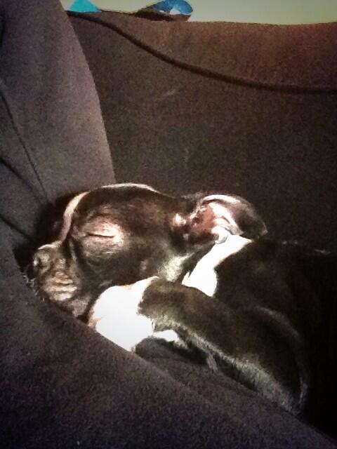 callampario tweet media